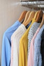 female apparel, woman clothes in a wardrobe, hanging blouses, jumpers and dresses. order and housekeeping, tidy closet.