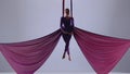 Female artist isolated on blue neon studio background. Girl aerial dancer performing floating element on air silk. Royalty Free Stock Photo