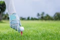 female asian professional golfer hold golf ball put on tee by glove golf at green golf course, side view shot .female asian Royalty Free Stock Photo