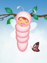 Female baby caterpillar Royalty Free Stock Photo