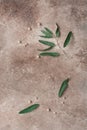 Female background. Beautiful greeting wedding card. Olive leaves and branch, pearl beads on a beige rustic background. Top view,