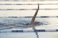 Female Backstroke Royalty Free Stock Photo