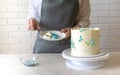 Female baker decorating with cream tasty cake on the table