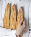 Female baker holds fresh baked French baguette. Homemade sourdough bread. Homemade food. Food preparation Royalty Free Stock Photo