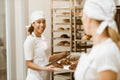 female bakers working together at baking manufacture