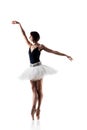 Female ballet dancer wearing tutu. Prima ballerina posing on white background Royalty Free Stock Photo