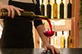 Female bartender pouring red wine from bottle into glass in bar Royalty Free Stock Photo