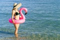 Female by beach. Young sexy woman in straw hat, bikini swimsuit, sunglasses with pink inflatable flamingo in blue ocean water Royalty Free Stock Photo