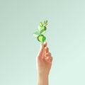 Female beautiful 3D hand lifts up a hand-drawn twig with leaves