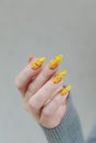 Female beautiful hand with long nails and a yellow nail polish Royalty Free Stock Photo