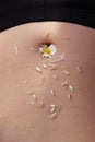 Female beautiful tummy with a chamomile flower in the navel. Perfect body shape