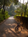 Female bicycle standing on a road in a Picturesque lane of a small Indian village in Konkan surrounded by coconut trees