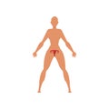 Female biological sexual system, anatomy of human body vector Illustration on a white background
