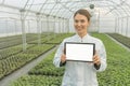 Female Biotechnology engineer tablet greenhouse. Plant seedlings Royalty Free Stock Photo