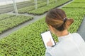 Female Biotechnology engineer tablet greenhouse. Plant seedlings