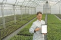 Female Biotechnology engineer tablet greenhouse. Plant seedlings Royalty Free Stock Photo