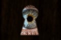 Female blue eye looking through the keyhole. Concept of voyeurism, curiosity, Stalker, surveillance and security Royalty Free Stock Photo