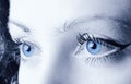 Female blue eyes Royalty Free Stock Photo