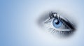 Female blue eyes Royalty Free Stock Photo