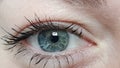 Female blue eyes Royalty Free Stock Photo