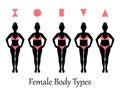 Female body types Royalty Free Stock Photo