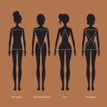 Female body types silhouettes Royalty Free Stock Photo