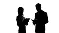 Female boss silhouette discussing business project with male secretary in office