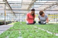 Female botanists examining over seedlings in greenhouse