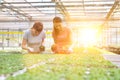 Female botanists examining over seedlings in greenhouse