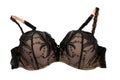 Female bra black with beige. Isolate on white Royalty Free Stock Photo