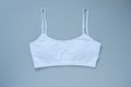 Female bra on a gray background Royalty Free Stock Photo