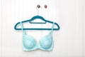 Female bra on the hanger Royalty Free Stock Photo