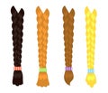 Female braids on a white background. Vector.