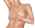 Female Breast. Detailed realistic illustration