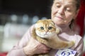 A female breeder holds a pet at a cat show