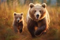 female brown bear and her cubs