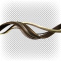 Female brown curl of hair isolated on a transparent background. Vector 3D realistic illustration