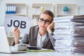 The female businesswoman boss accountant working in the office