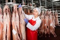 Female butcher shop worker checking hanging raw lamb carcasses