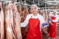 Female butcher shop worker checking hanging raw lamb carcasses Royalty Free Stock Photo