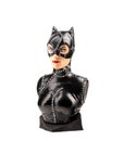 Female cat from the Marvel Universe printed on a 3D printer and hand-painted on a white background