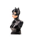 Female cat from the Marvel Universe printed on a 3D printer and hand-painted on a white background