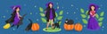 Female characters for Halloween set. A cute witch in a cloak and stockings flies on a broomstick, a black cat, pumpkins Royalty Free Stock Photo