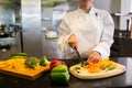 Female chef cutting vegetables in kitchen Royalty Free Stock Photo