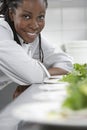 Female Chef With Plates Of Salads In Kitchen Royalty Free Stock Photo