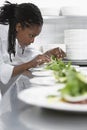 Female Chef Preparing Salad In Kitchen Royalty Free Stock Photo