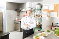 Beautiful Cook Standing In Commercial Kitchen Royalty Free Stock Photo