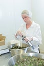 Female chefs working in food factroy Royalty Free Stock Photo