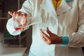 Female chemist is holding bulb with chemicals Royalty Free Stock Photo