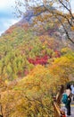 Female chinese tourist enjoying the autumn colors on top of the Phoenix Peak near Benxi